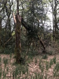 IMG_3297.jpeg